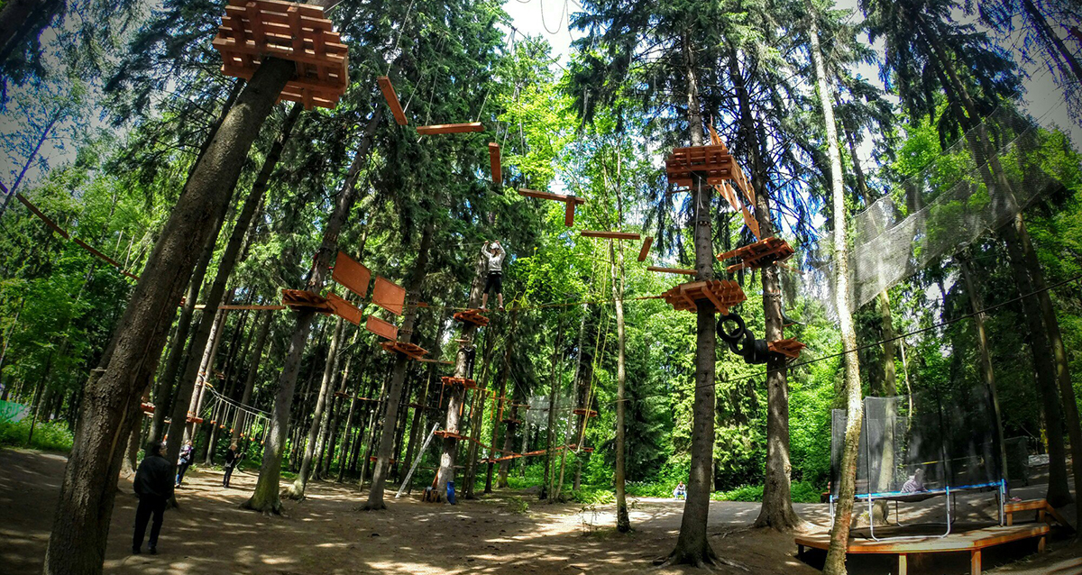 Веревочный парк TreeToTree