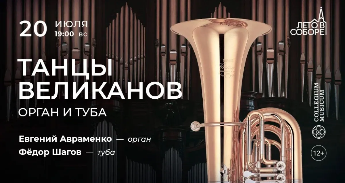 Скидка 30% на концерт «Танцы великанов: орган и туба»