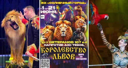 Скидка 25% на цирковое шоу «Королевство львов»