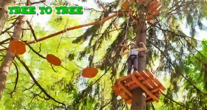 Скидка 50% от веревочного парка TreeToTree