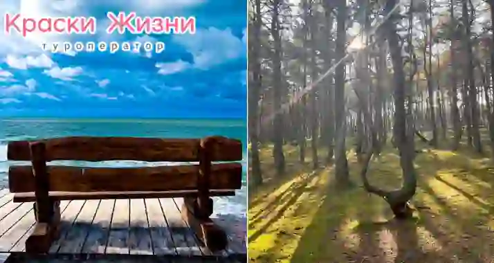 2295 р. за автобусную экскурсию на Куршскую косу из Зеленоградска