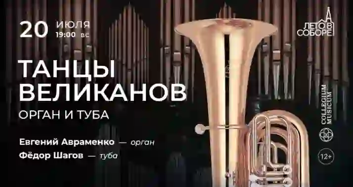 Скидка 30% на концерт «Танцы великанов: орган и туба»
