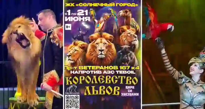 Скидка 25% на цирковое шоу «Королевство львов»