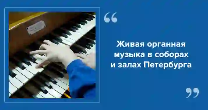 Живой орган в Петербурге: соборы, залы и афиши концертов